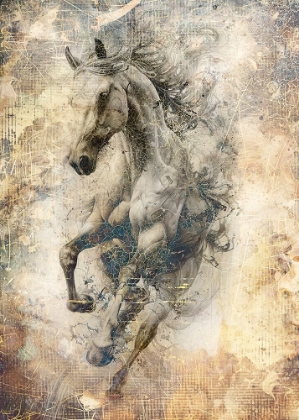 Picture of HORSE ILLUSTRATION 02