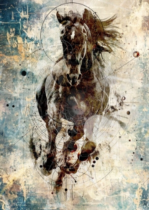 Picture of HORSE ILLUSTRATION 01