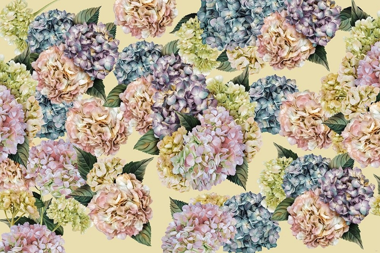 Picture of HYDRANGEAS_MUSTARD