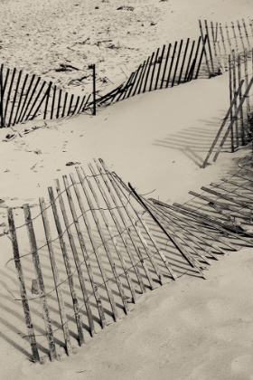 Picture of BEACH FENCE