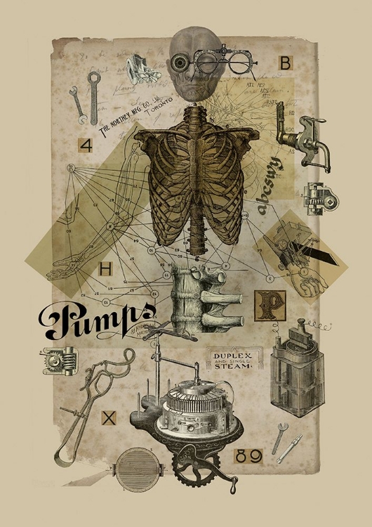 Picture of BODY IN METAMORPHOSIS