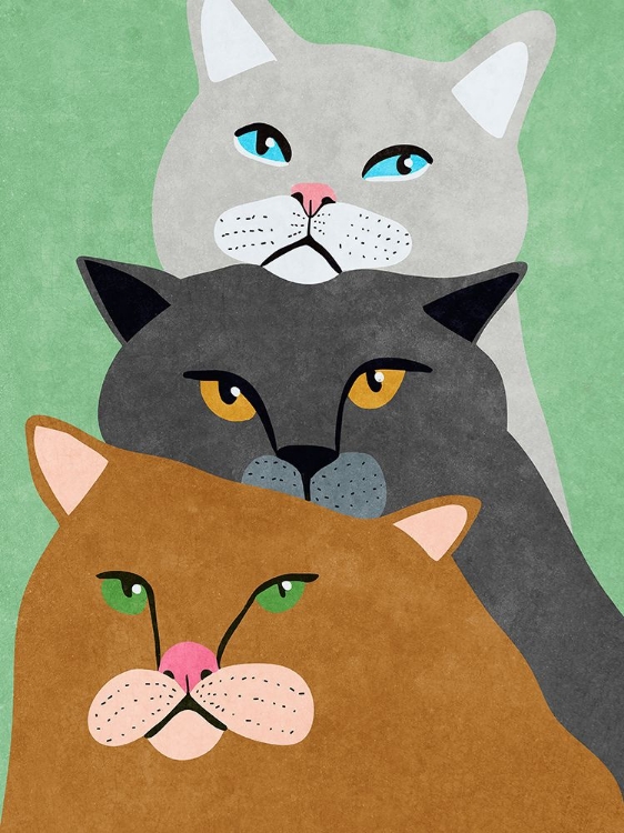 Picture of CAT TRIO