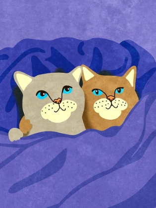 Picture of CATS IN BED