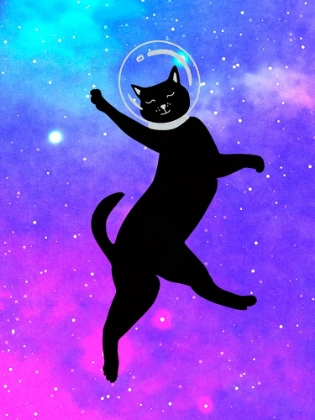 Picture of HAPPY SPACE CAT