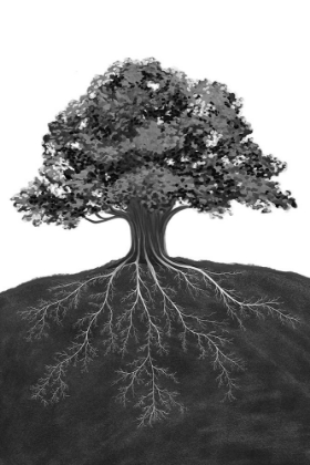 Picture of ROOTED
