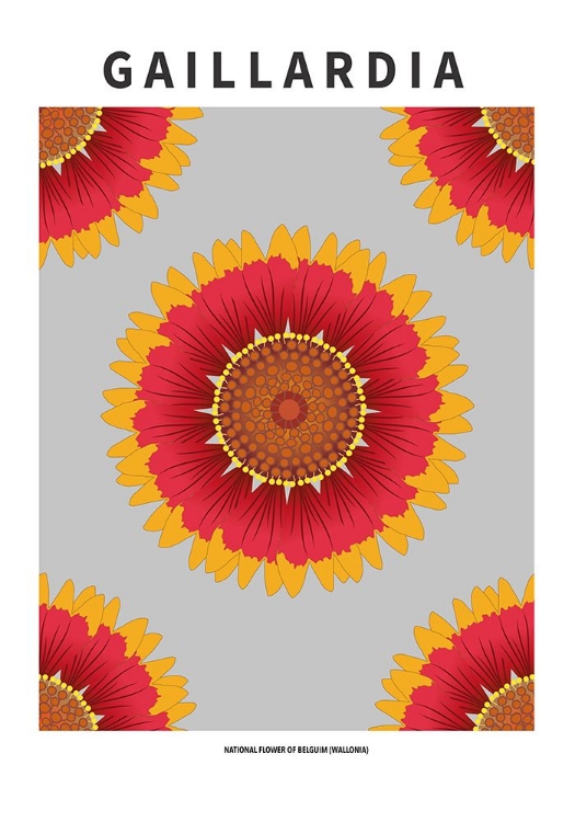 Picture of GAILLARDIA - NATIONAL FLOWER OF BELGIUM