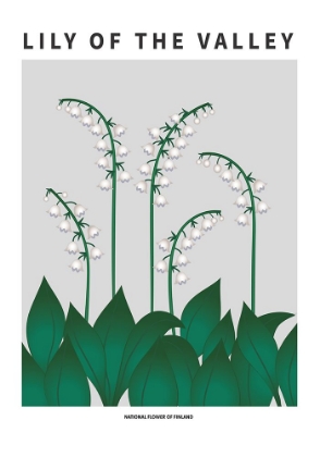 Picture of LILY OF THE VALLEY  - NATIONAL FLOWER OF  FINLAND