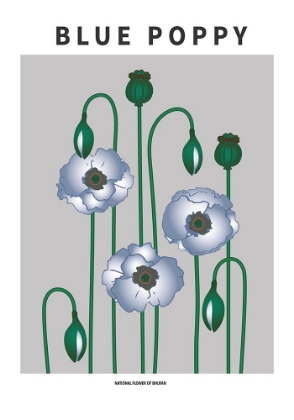 Picture of BLUE POPPY - NATIONAL FLOWER OF  BHUTAN