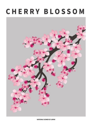Picture of CHERRY BLOSSOM - NATIONAL FLOWER OF JAPAN