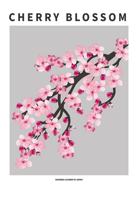 Picture of CHERRY BLOSSOM - NATIONAL FLOWER OF JAPAN