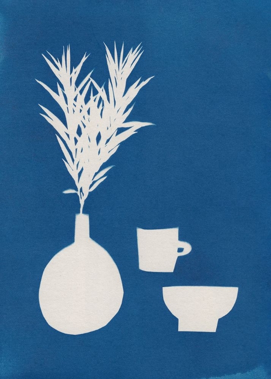 Picture of CYANOTYPE STILL LIFE STUDIES