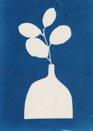 Picture of CYANOTYPE STILL LIFE STUDIES #2