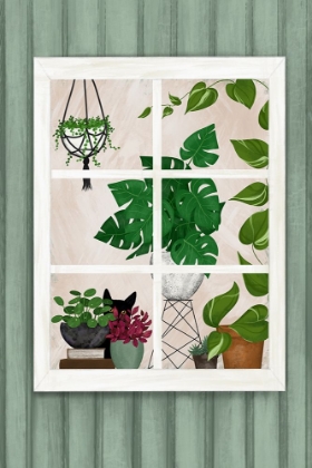 Picture of PLANT WINDOW