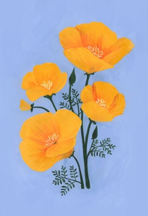 Picture of BOUQUET OF ORANGE CALIFORNIA POPPIES