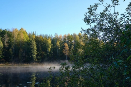 Picture of SWEDISH LAKE