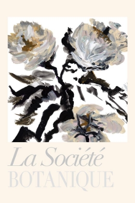 Picture of LA SOCIEITEI BOTANIQUE BALCK AND WHITE AND CREAM FLOWERS