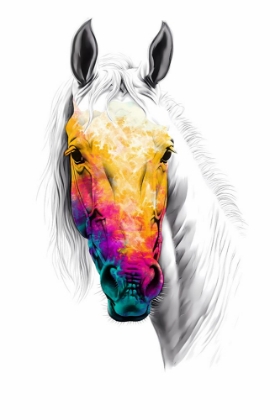 Picture of HORSE WILD TRIBAL ILLUSTRATION ART 06