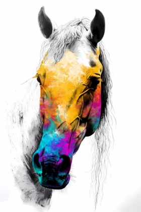 Picture of HORSE WILD TRIBAL ILLUSTRATION ART 08