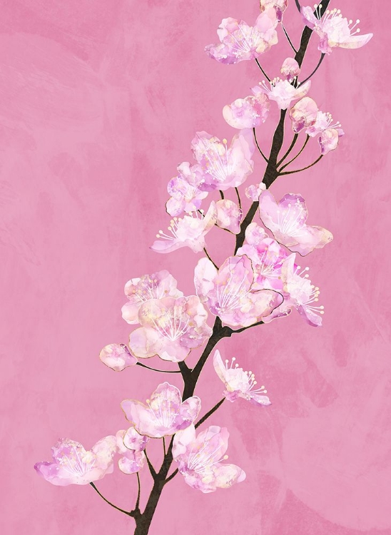 Picture of APRIL CHERRY BLOSSOMS