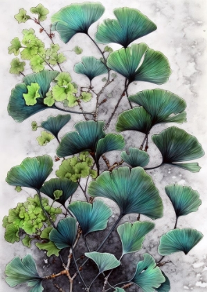 Picture of FLOWERS PLANT ART GINKO BILOBA