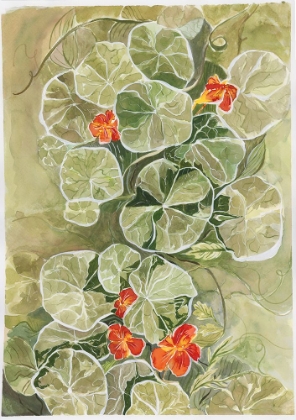 Picture of NASTURTIUM TAPESTRY