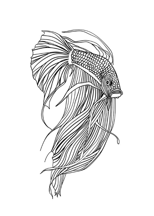 Picture of LINE FISH