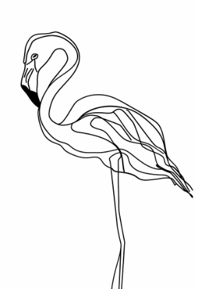 Picture of LINE FLAMINGO