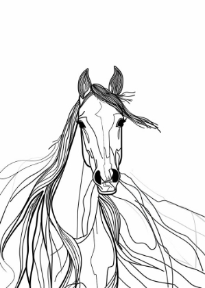 Picture of LINE HORSE