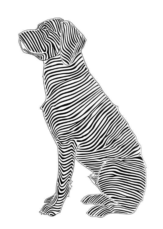 Picture of LINES ART DOG