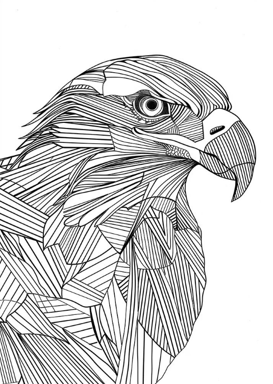 Picture of LINES ART EAGLE