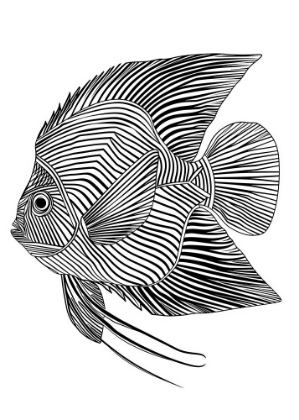 Picture of LINES ART FISH