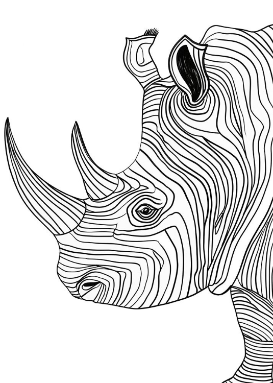 Picture of LINESART  RHINO