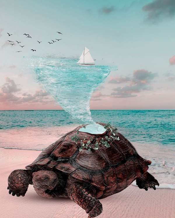 Picture of TURTLE