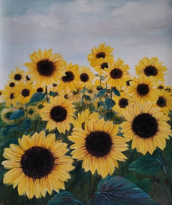 Picture of SUNFLOWERS