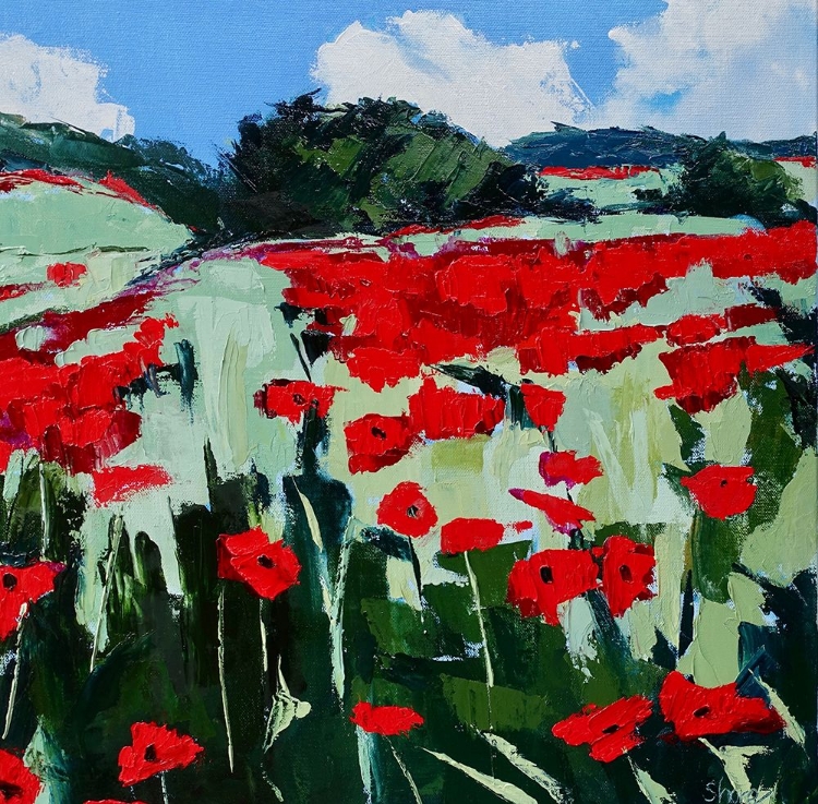 Picture of POPPIES