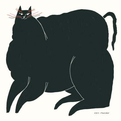 Picture of BLACK CATTO