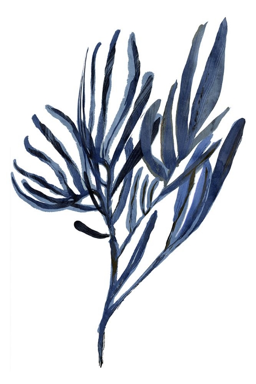 Picture of BLUE AQUATIC PLANT POSTER 2