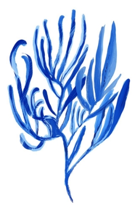 Picture of BLUE AQUATIC PLANT POSTER 4