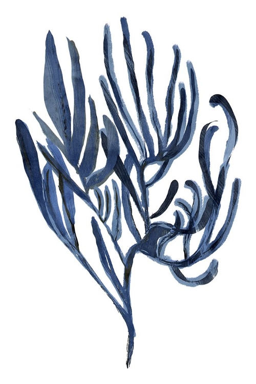 Picture of BLUE AQUATICE PLANT POSTER 3