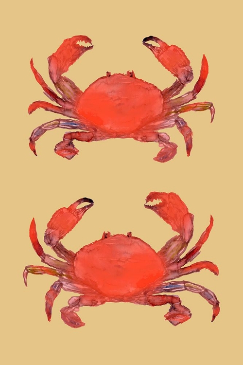 Picture of CRAB POSTER 2