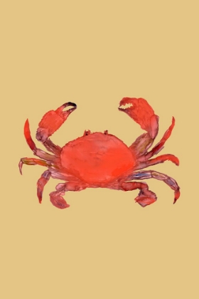 Picture of CRAB POSTER