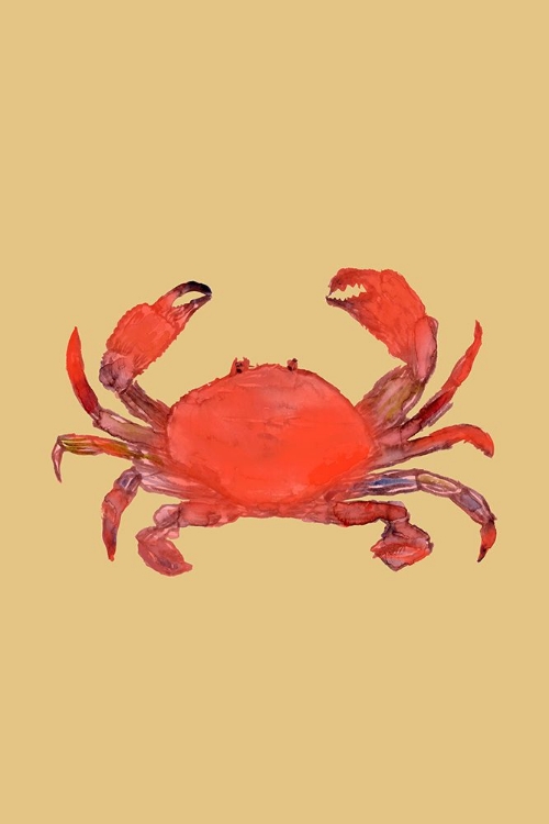 Picture of CRAB POSTER