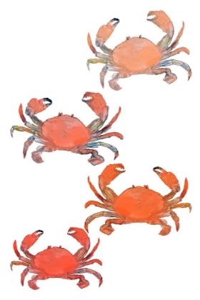 Picture of CRABS 1