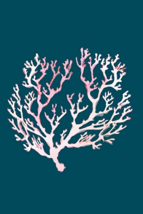 Picture of SEA CORAL POSTER 1