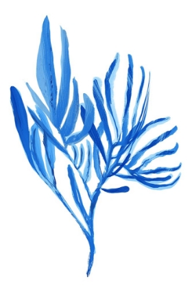 Picture of BLUE AQUATICE PLANT POSTER 5