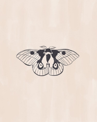 Picture of MOTH LINE ART PRINT BY IVY GREEN ILLUSTRATIONS 4 5 RATIO