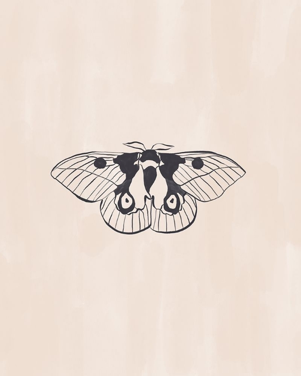 Picture of MOTH LINE ART PRINT BY IVY GREEN ILLUSTRATIONS 4 5 RATIO