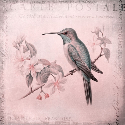 Picture of HUMMINGBIRD  ROMANCE PASTEL PINK