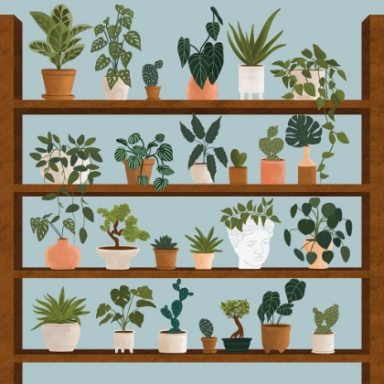 Picture of PLANT SHELVES