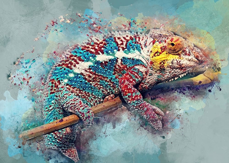 Picture of CHAMELEON ANIMAL ART